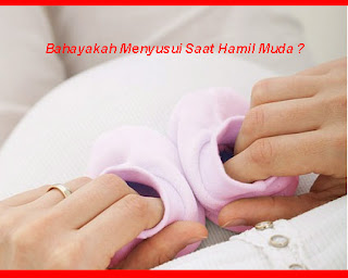 Bahaya Menyusui Saat Hamil Muda