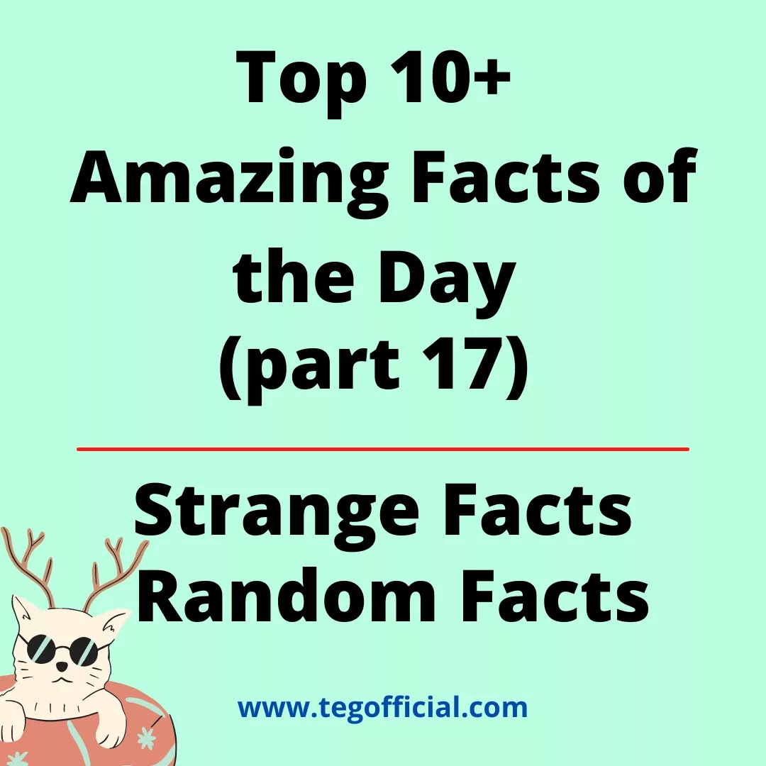 Top 10+ Amazing Facts of the Day (part 17) | Strange Facts | Random Facts