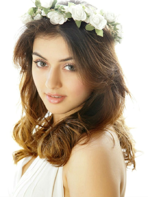 Most Popular Celebrities Hansika Motwani HD Wallpapers