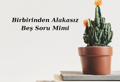 Birbirinden Alakasız Beş Soru Mimi 