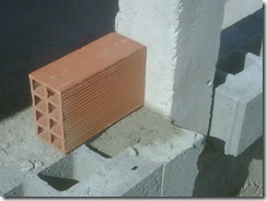 IMG00438-20110617-0932