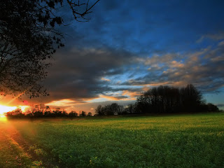 Nature Desktop Background