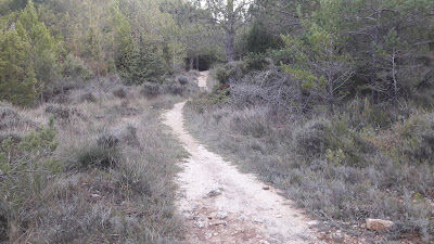 GR-7 ARBOLÍ A MONTRAL, camí Vell d'Arbolí al Puig de Gallicant en direcció al Collet dels Colls