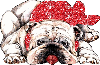 perros (13)