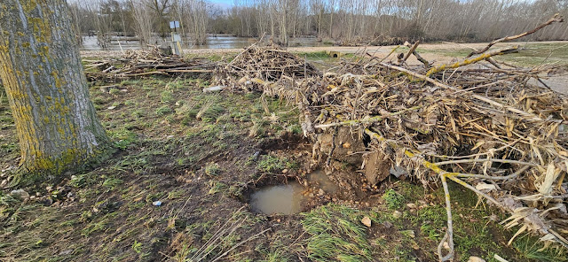 Juzbado, daños inundaciones, 20 de enero de 2024, 20/01/2024,Tormes, campo de fútbol municipal, chopera