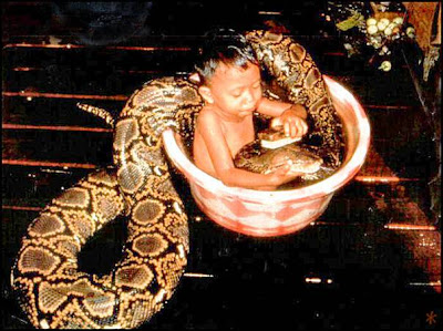 Boy with a Python