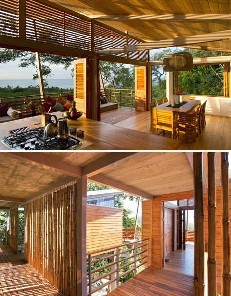  Desain Rumah Pohon Dari Bambu  Contoh Z