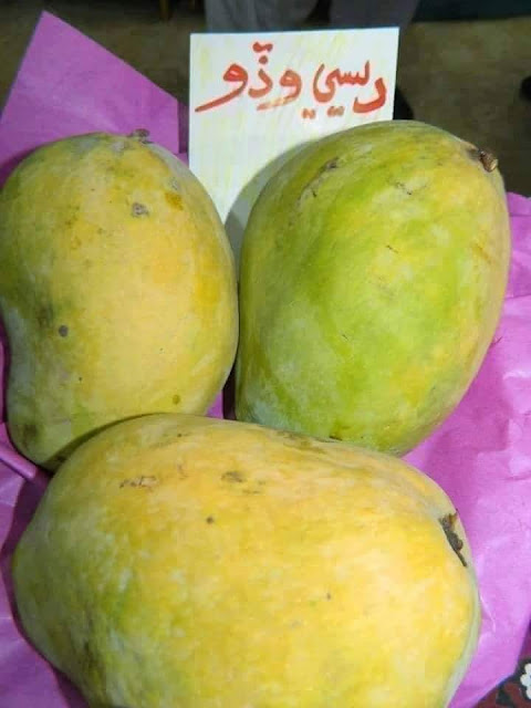 How many types of mangoes in Pakistan