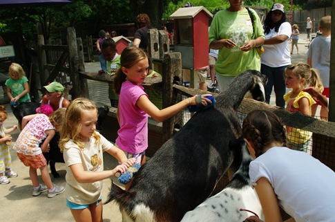 A Zoo Where You Can Pet The Animals 05