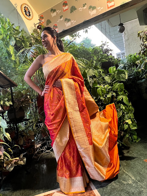 Banarasi patola saree