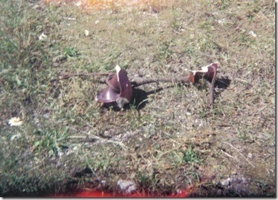 Broken Electrical Insulator near the East End of the Concrete Snowshed on the Iron Goat Trail in 1994