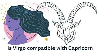 Is Virgo compatible with Capricorn