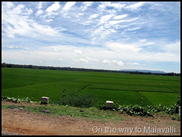 On the way to Malavalli