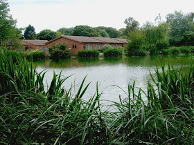 Bungalows and fishing lake on Rookley Country Park