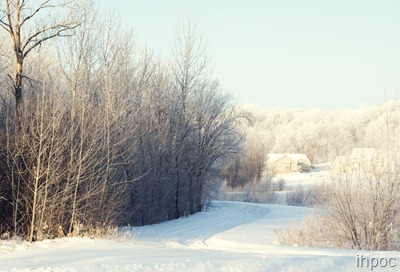 IMG_3005 copy