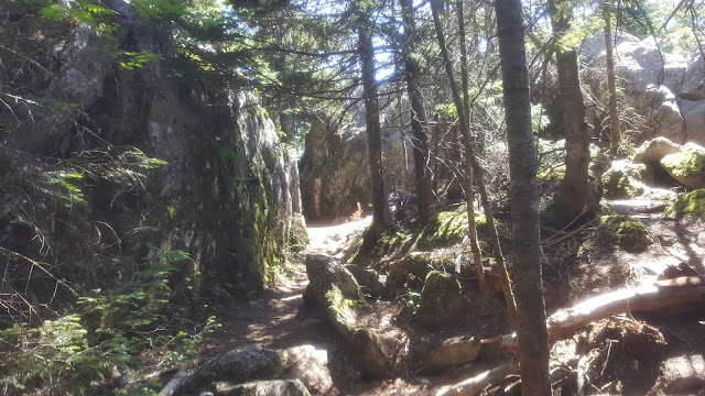 Sentier vers le sommet du Owls Head (section des antennes)