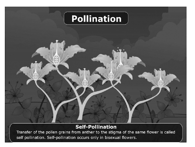 HOW DO ORGANISMS REPRODUCE?