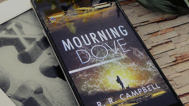 Mourning Dove by R. R. Campbell 