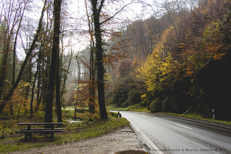 estrada de Mullerthal