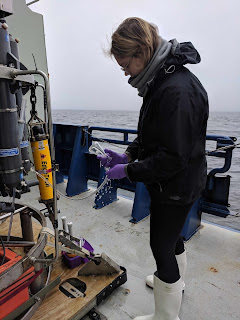 A photo of a woman holding a tube upside down while water flows out of the tube and into a bottle. She is standing next to part of the instrument described in the previous photo. The ocean is in the background. 