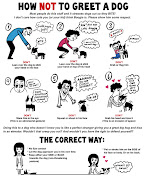 How to Greet a Dog Cartoon (greetingdog)