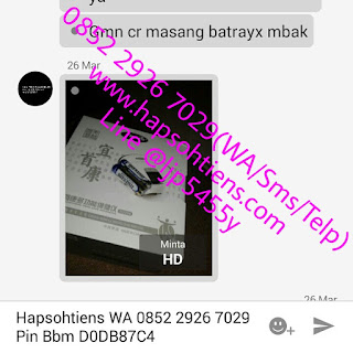 Hub 0852 2926 7029 Agen Tiens Syariah Gresik Distributor Stokis Toko Cabang