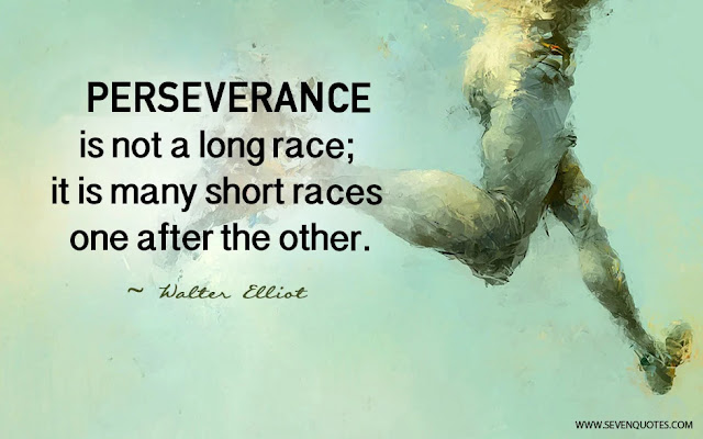 poster-quote-perseverance-walter-elliot