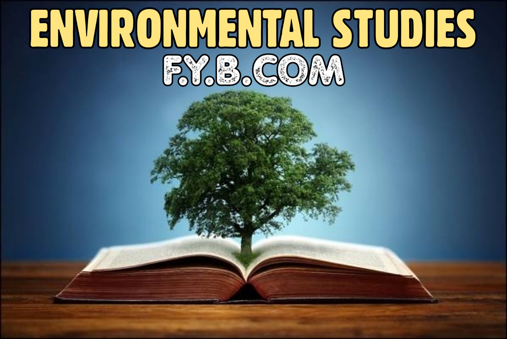 F.Y.B.COM Environmental Studies MCQ with answer