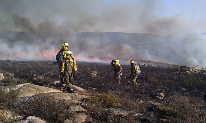 Estados/  Registra Colima 32 incendios forestales en lo que va del año: Conafor