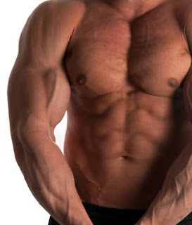 bodybuilding guide