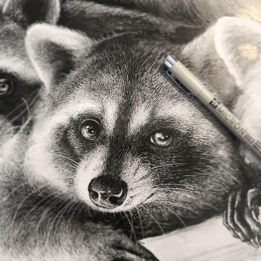 01- cute-raccoon-animal-art-shelby-elizabeth-www-designstack-ko