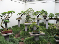 Ideas para in jardín de bonsáis