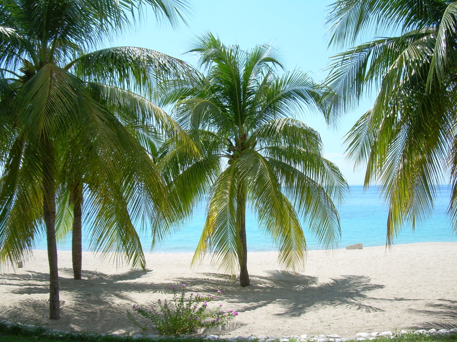MiRadAS AnPiL: Playas de Haiti