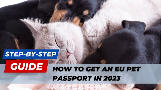 How to Get an EU Pet Passport in 2023