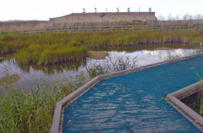 Rainham Marshes