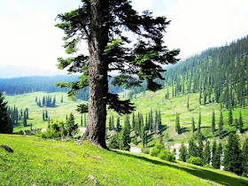 Places to see in Kashmir
