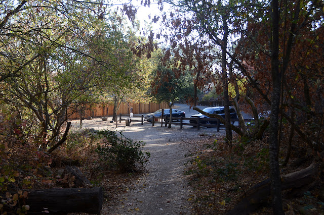 on the trail looking back at the cars