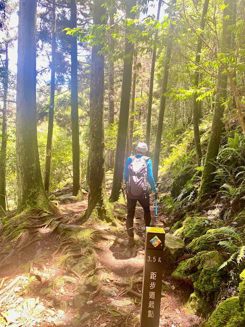 橫嶺山步道--3.5K