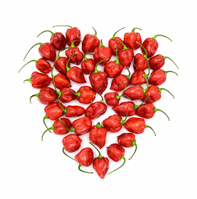 Habanero red chili heart pumping