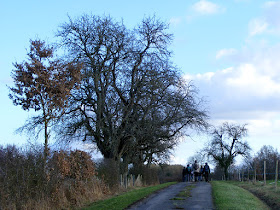 Photographed by Susan from Loire Valley Time Travel. https://tourtheloire.com