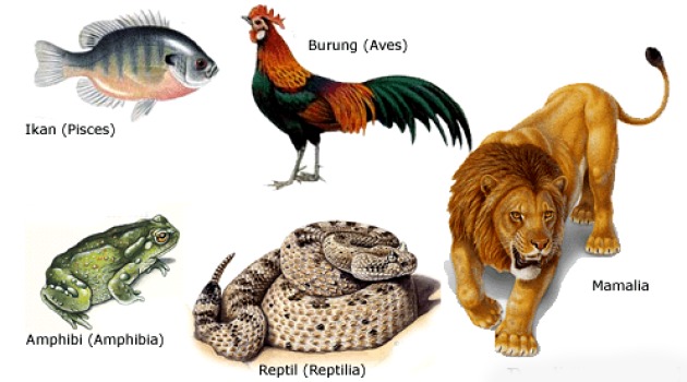 Gambar Hewan Vertebrata Dan Alat Geraknya – bonus