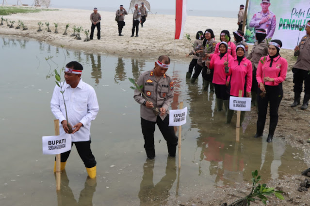 Jajaran Pimpinan Daerah Sergai Tanam Mangrove di Desa Sei Nagalawan Perbaungan