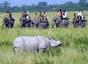 The actual attraction of Kaziranga National Park is its broad diversity of . (kaziranga national park assam)