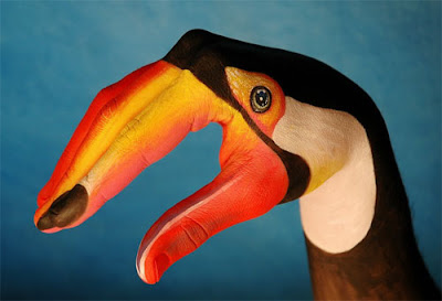 Toco Toucan Hand Art