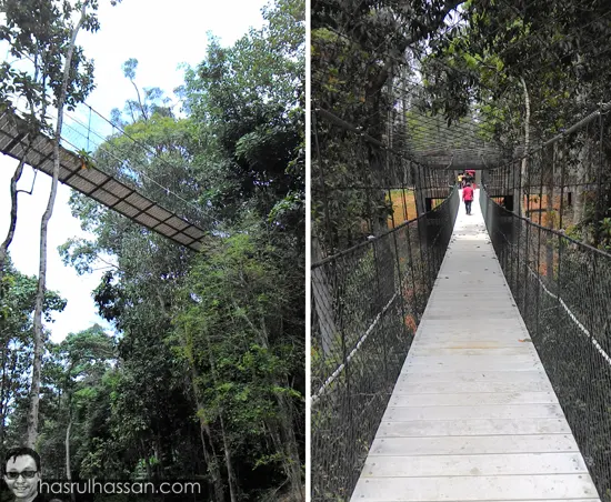 Perkampungan Gajah Tasik Kenyir