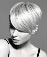 Andrew Collinge Hairstyles