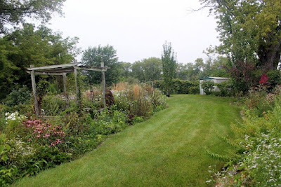 grass and overgrown perennial gardens