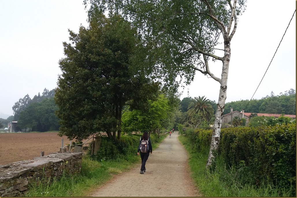 20180522_102830  Salceda  - Caminho Frances Santiago Compostela
