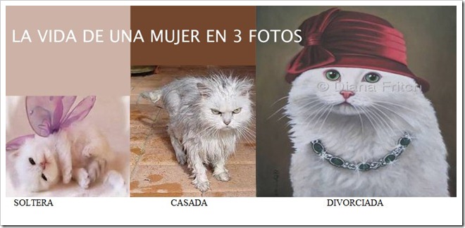 .com/img/b/R29vZ2xl/AVvXsEh8Pf97PT_L-aCUEiUH1fEkGaSs1UxEVP22KBlygWNDUQQG8FkhXjMx41G_dmIqvw9MrwL0Nl2c6qpi9pIkFD52gzpep4YbVOekv_s9LfSNZrzQybnGFkh5gHb2Cf3RRsoXbEXvlOLIyWDi/