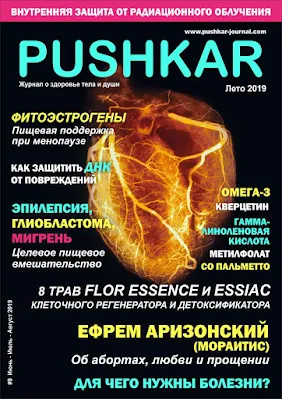 ЖУРНАЛ PUSHKAR №9 ЛЕТО 2019.